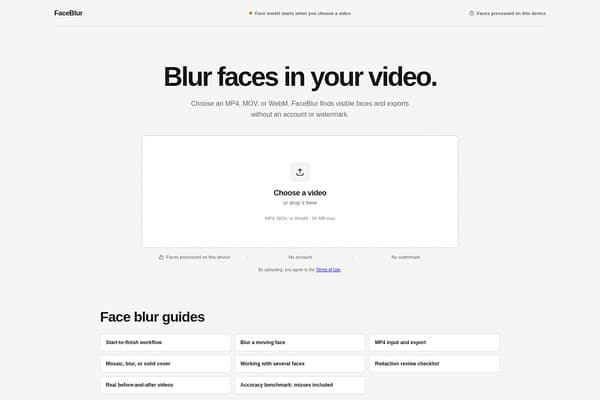 FaceBlur screenshot