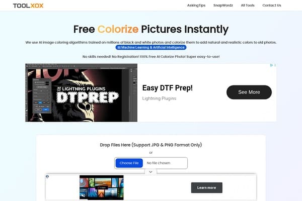 Colorize Photo Online preview