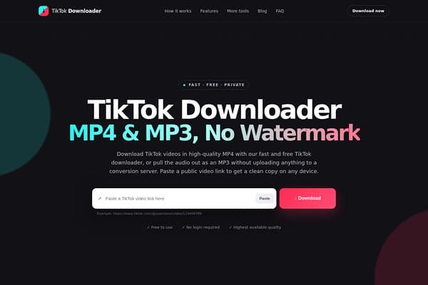 TikTok Downloader screenshot