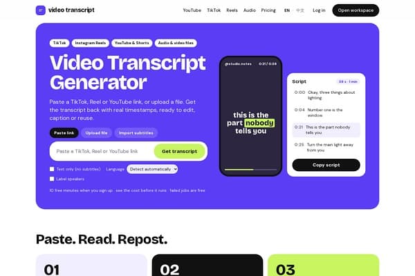 Video Transcript Generator screenshot