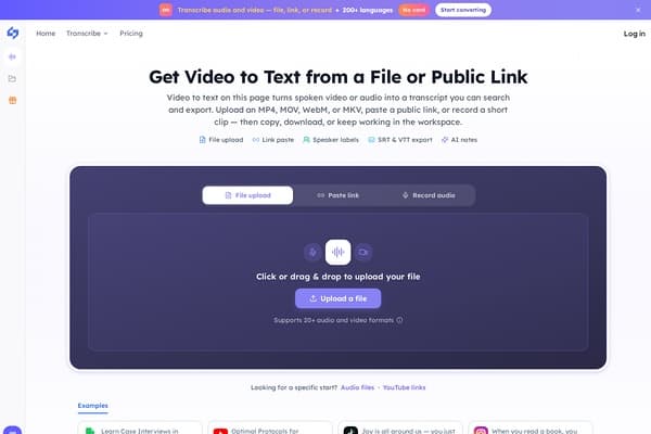 Video Transcriber screenshot