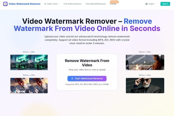Video Watermark Remover screenshot