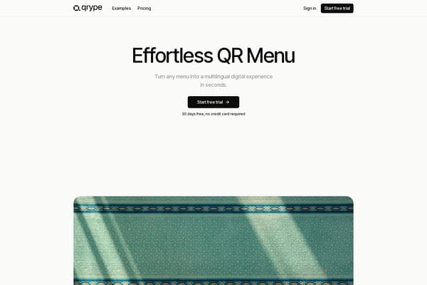 Qrype preview